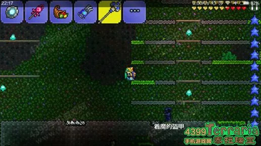 泰拉瑞亚深度探索，揭秘魔力值的极限与提升策略