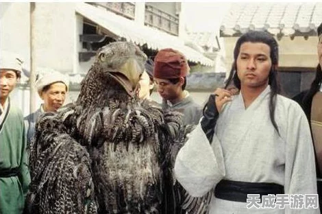 神雕侠侣手游新手必看，职业选择全攻略，助你驰骋江湖！