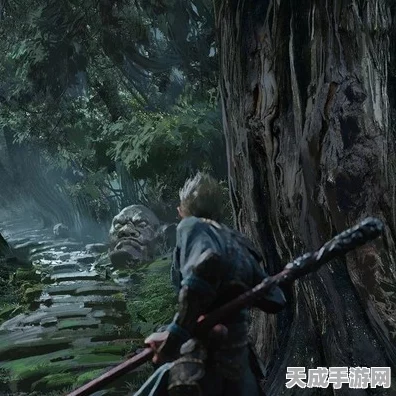 探秘黑神话，悟空落伽香藤6珍稀位置全攻略
