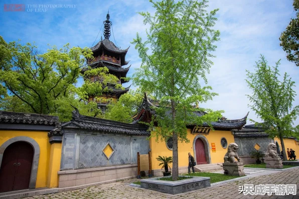 阴阳师残塔挑战攻略，揭秘高效阵容搭配与战术解析
