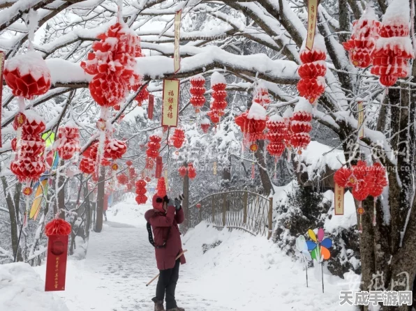 江南百景图雪景大揭秘，探寻未染白雪的绝美画卷