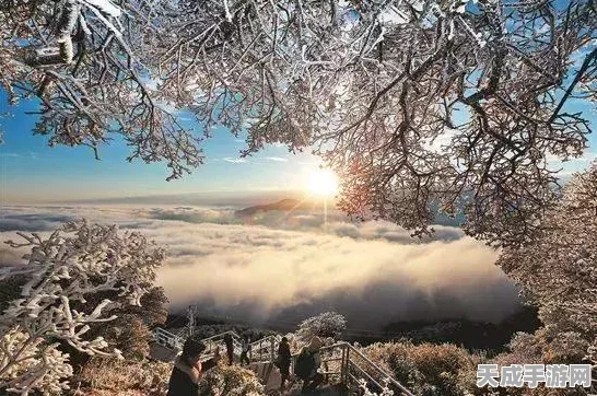 江南百景图雪景大揭秘，探寻未染白雪的绝美画卷