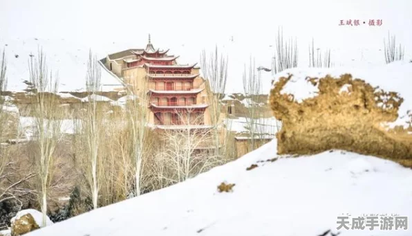 江南百景图雪景大揭秘，探寻未染白雪的绝美画卷