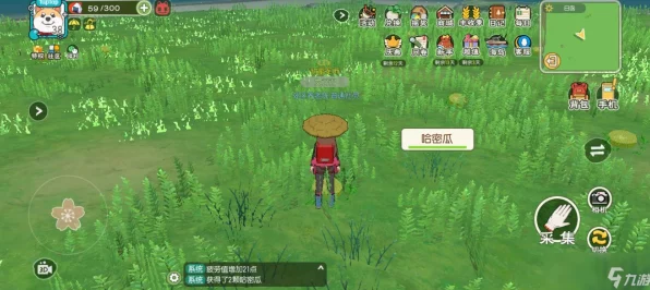 小森生活，稀有资源全图鉴，解锁高效采集秘籍