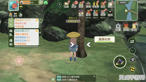 小森生活，稀有资源全图鉴，解锁高效采集秘籍