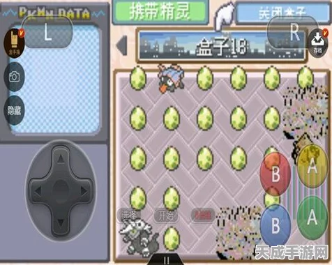 口袋妖怪XY，揭秘硝基冲锋大赛的制胜策略与精彩瞬间