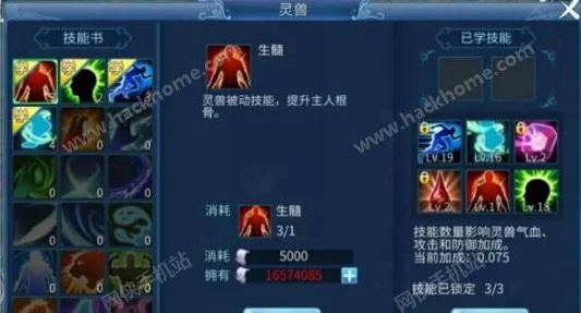 倩女幽魂手游灵兽性格揭秘，解锁战斗新策略，性格与技能完美搭配