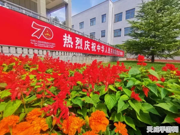 使命召唤手游，解锁战场制胜密码，三色技能芯片精选攻略