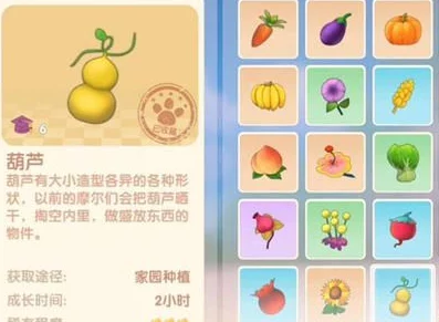 摩尔庄园手游，揭秘葫芦获取秘籍与独家菜谱配方攻略
