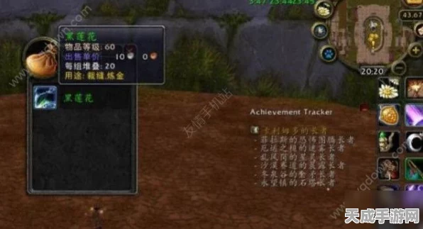 魔兽世界怀旧服探险指南，揭秘辛特兰高效传送攻略