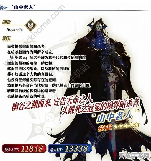 FGO深度攻略，揭秘山中老人最强阵容搭配策略