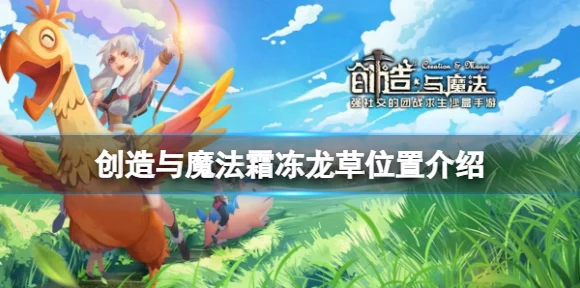 手游资讯，揭秘创造与魔法龙草刷新机制与高效采集攻略