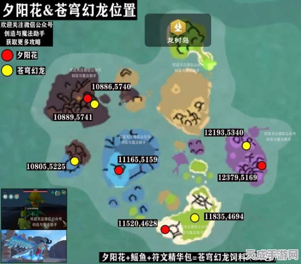 手游资讯，揭秘创造与魔法龙草刷新机制与高效采集攻略