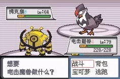口袋妖怪探秘，白金电光狮进化全解析及最新动态