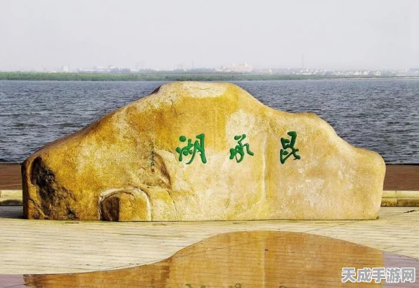 口袋妖怪复刻，宝石海星技能搭配攻略，打造顶级水系战力！