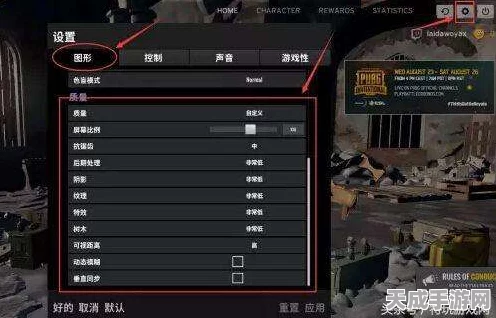 绝地求生，顶尖画质设置揭秘，助你赛场夺冠秘籍