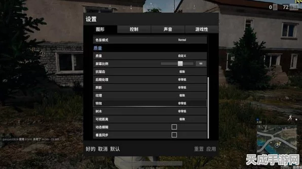绝地求生，顶尖画质设置揭秘，助你赛场夺冠秘籍