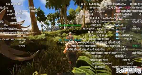 探秘创造与魔法，寻宝之旅，揭秘无人问津的藏宝图平原