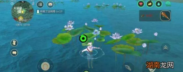 揭秘创造与魔法，神秘红莲位置图大公开，探险家们的终极寻宝指南