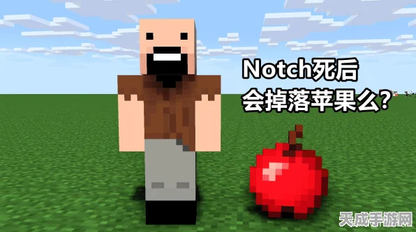 探秘创造与魔法，遗迹宝箱的奇幻之旅与获取攻略