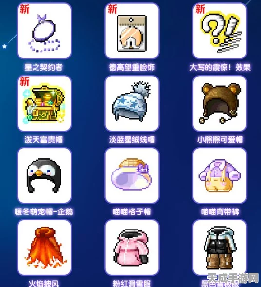 冒险岛珍稀物品大揭秘，究竟何物价值连城？