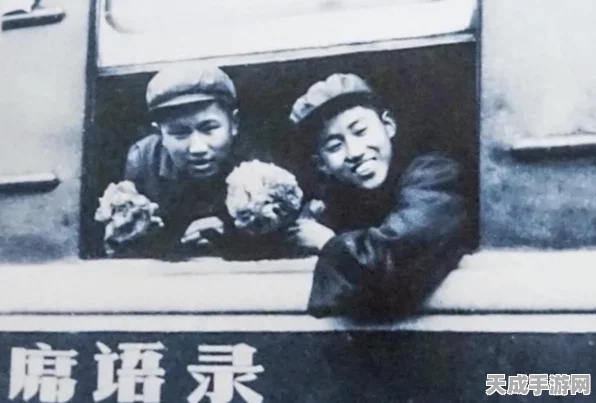 刺客信条圣诞奇遇，节日任务深度攻略与惊喜揭秘