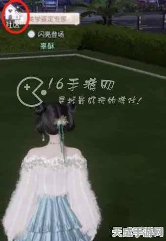 闪耀揭秘，以闪亮之名流浪小北玩偶隐藏地图与全攻略指南