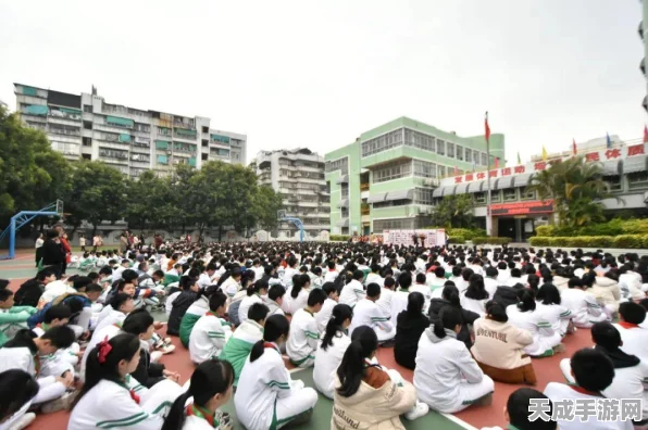 绿茵信仰，揭秘提升球队价值的高效策略与实战技巧