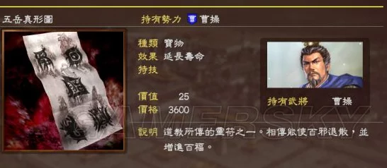 三国志13深度解析，珍稀名品特技大揭秘，名将持有全攻略