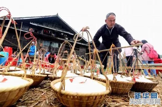 纸嫁衣7第四章回门深度攻略，揭秘高效通关秘籍