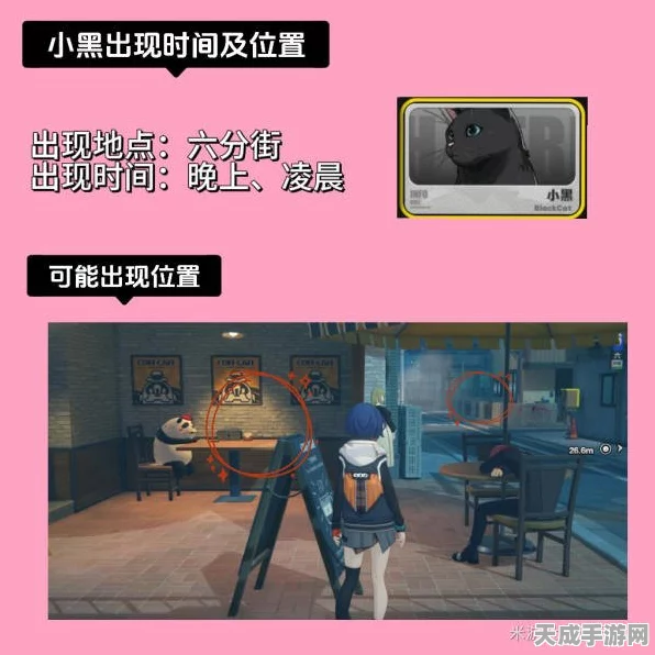 绝区零萌宠大揭秘，小黑猫领养全攻略及趣味互动挑战赛详解