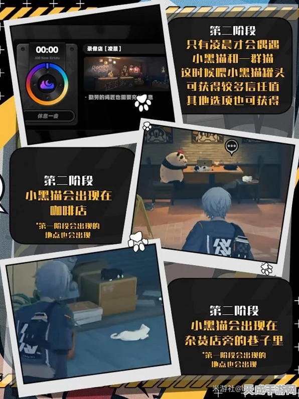 绝区零萌宠大揭秘，小黑猫领养全攻略及趣味互动挑战赛详解
