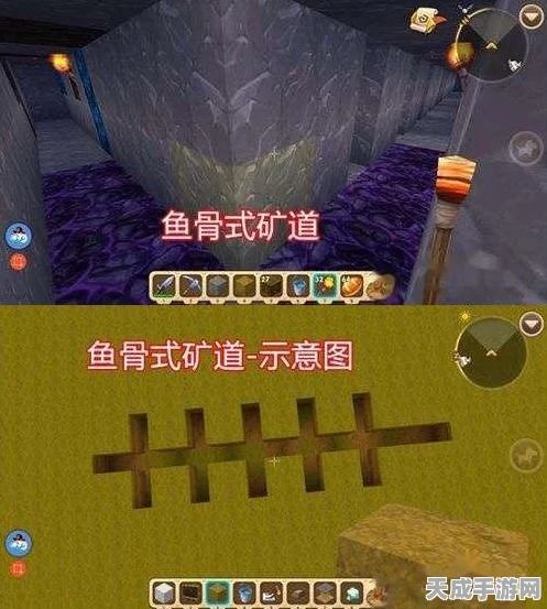 我们的星球深度探索，矿洞探险全攻略与宝藏揭秘