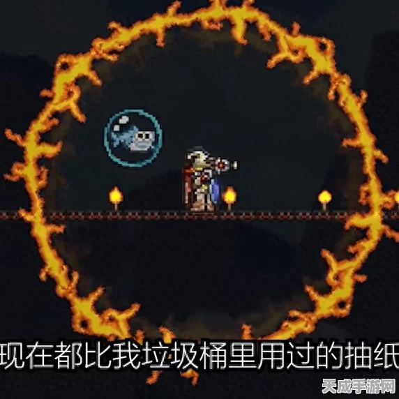 泰拉瑞亚萌力全开，Buff变身大赛燃爆夏日