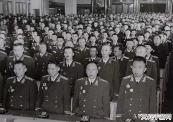 网易守望先锋重启测试招募，今夏激战再燃！独家揭秘测试细节