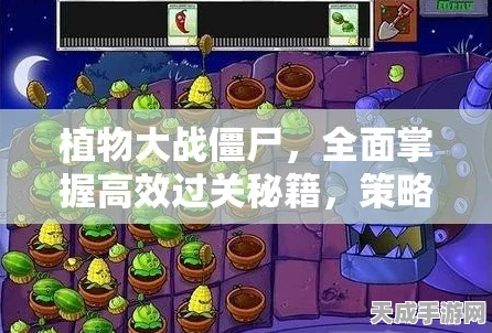 植物大战僵尸，深度攻略揭秘，打造无敌防线，策略致胜秘籍