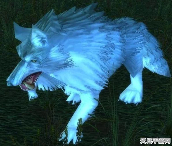 魔兽世界暗夜猎人宠物技能学习全攻略，解锁宠物潜能的秘诀