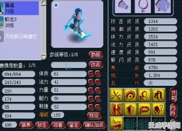 梦幻西游，顶尖玩家揭秘，哪些套装变身术让你战场无敌？