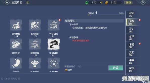 妄想山海，攻城等级飞速提升，策略与技巧全揭秘