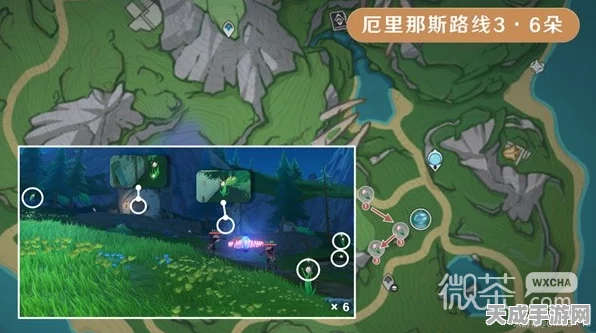 原神攻略秘籍，解锁虹彩蔷薇的高效采集技巧