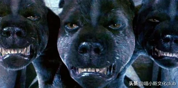 哈利波特魔法觉醒，揭秘三头犬难关高效通关秘籍，助你征服霍格沃茨最棘手试炼