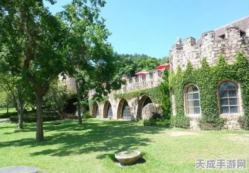 迷雾城攻略大揭秘，地下城堡2玩家必备通关秘籍