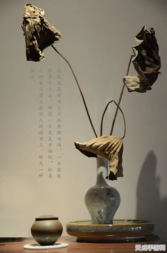 一念逍遥神游三界，深度解析活动玩法与必胜攻略