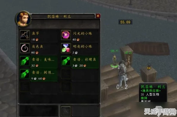 魔兽世界WLK怀旧服深度攻略，防骑属性搭配与优势揭秘