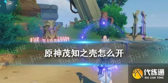 解锁原神茂知之壳隐藏成就，揭秘秘境挑战与谜题攻略