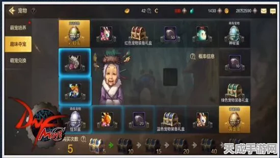 DNF手游氪金王者之路，揭秘最值得投资的顶级职业排行