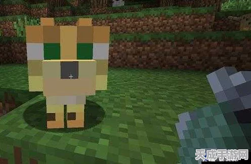 我的世界手游，猫咪驯服秘籍大公开，轻松解锁萌宠伴侣！