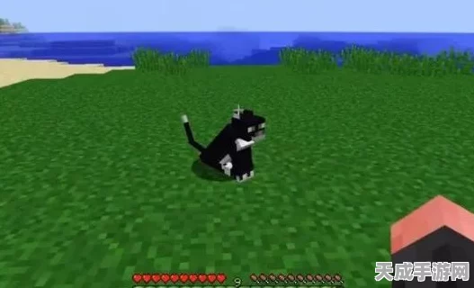 我的世界手游，猫咪驯服秘籍大公开，轻松解锁萌宠伴侣！
