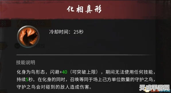 离火之境新手速成，全面避坑指南与深度玩法揭秘