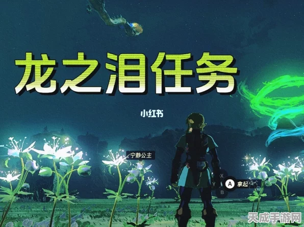 塞尔达王国之泪，十二处龙之泪全揭秘，助你征服海拉鲁的终极攻略